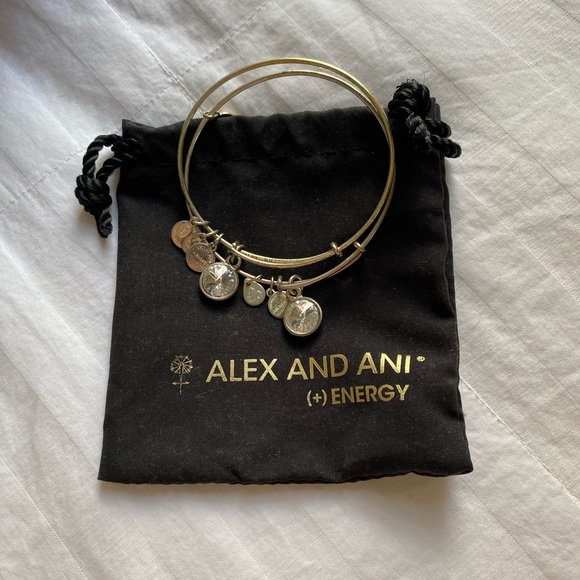 Alex and Ani Silver April Birthstone Diamond Bracelet - Picture 6 of 11